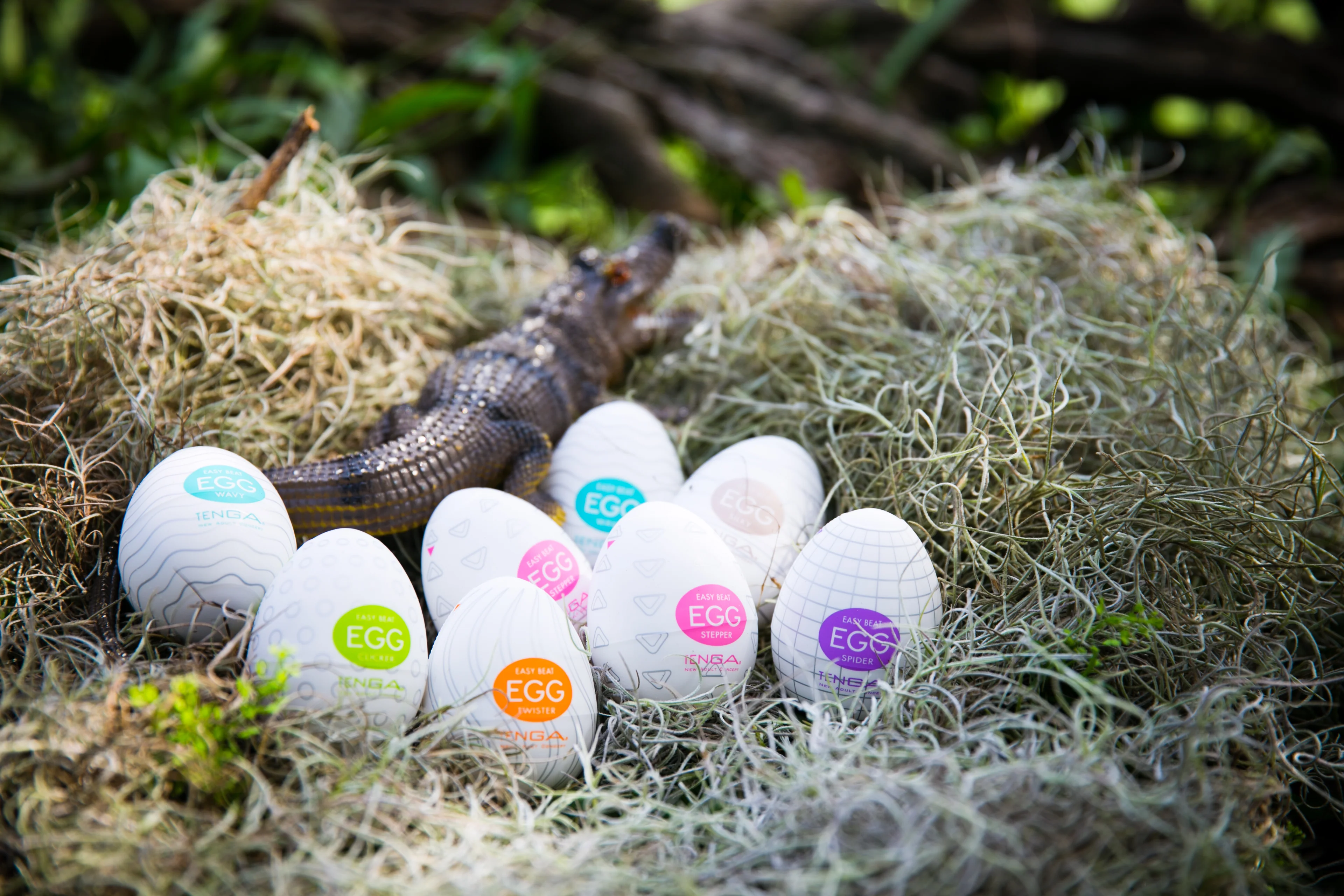 Welcome to Our Store